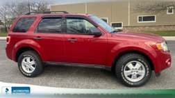 2010 Ford Escape XLT