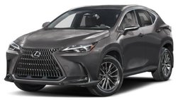 2024 Lexus NX 350h Luxury