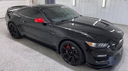 2019 Ford Mustang Fastback RWD