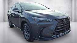 2025 Lexus NX 250 Premium