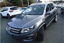 2013 Volkswagen Tiguan SE
