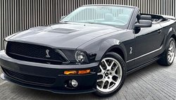 2008 Ford Shelby GT500 Base