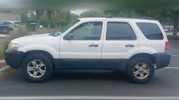 2007 Ford Escape XLT