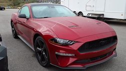2023 Ford Mustang EcoBoost