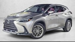 2023 Lexus NX 350 Luxury