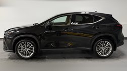 2025 Lexus NX 350h Premium