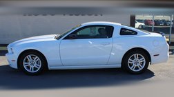 2014 Ford Mustang V6