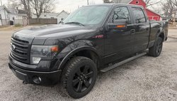 2014 Ford F-150 FX4
