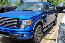 2011 Ford F-150 FX4