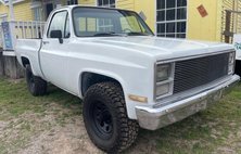 1981 Chevrolet C/K 10 Series Regular Cab 4WD