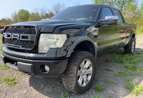 2010 Ford F-150 XL