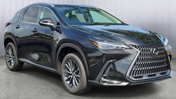 2025 Lexus NX 250 Premium
