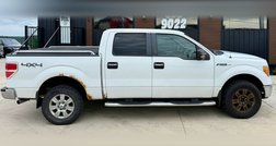 2010 Ford F-150 XLT