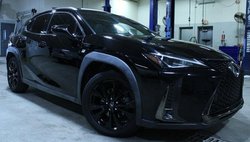 2019 Lexus UX 200 F SPORT
