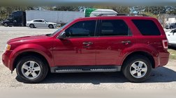 2010 Ford Escape XLT