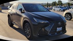 2024 Lexus NX 250 Base