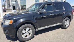 2009 Ford Escape XLT