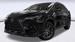 2025 Lexus NX 250 Premium