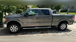 2014 Ford F-150 XLT