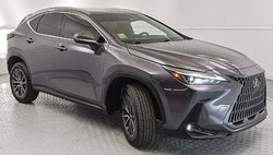 2023 Lexus NX 250 Base
