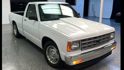 1989 Chevrolet S-10 EL Reg. Cab Short Bed 2WD