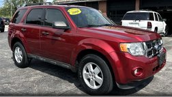 2009 Ford Escape XLT