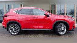 2023 Lexus NX 350 Luxury
