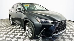 2024 Lexus NX 350h Luxury