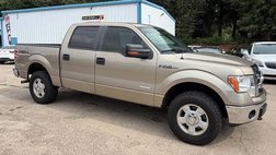 2013 Ford F-150 FX4