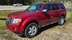 2012 Ford Escape XLT