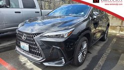 2022 Lexus NX 350 Luxury