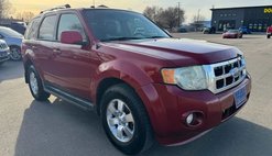 2010 Ford Escape Limited