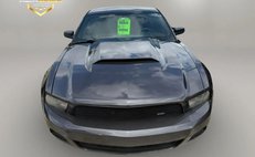 2010 Ford Mustang Base