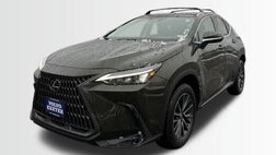 2025 Lexus NX 250 Base