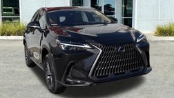 2025 Lexus NX 250 Base