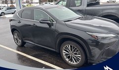 2022 Lexus NX 350h Luxury