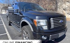 2011 Ford F-150 FX4