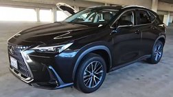 2025 Lexus NX 250 Premium