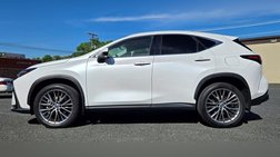 2024 Lexus NX 350h Luxury