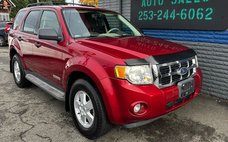 2008 Ford Escape XLT