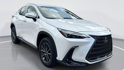 2025 Lexus NX 250 Base