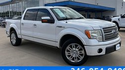 2010 Ford F-150 Platinum