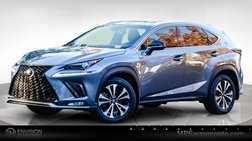 2019 Lexus NX 300 F SPORT