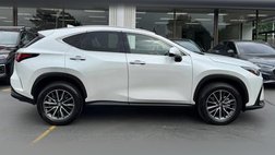 2024 Lexus NX 350h Premium