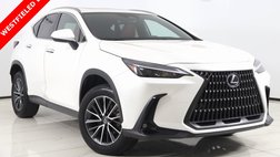 2024 Lexus NX 350h Premium