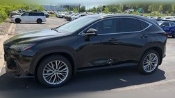 2024 Lexus NX 350h Luxury
