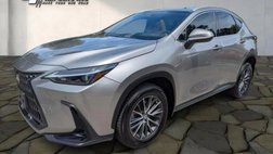 2022 Lexus NX 350 Premium