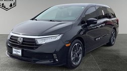 2024 Honda Odyssey Elite