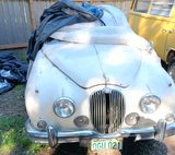 1962 Jaguar 