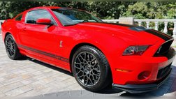 2014 Ford Shelby GT500 Base